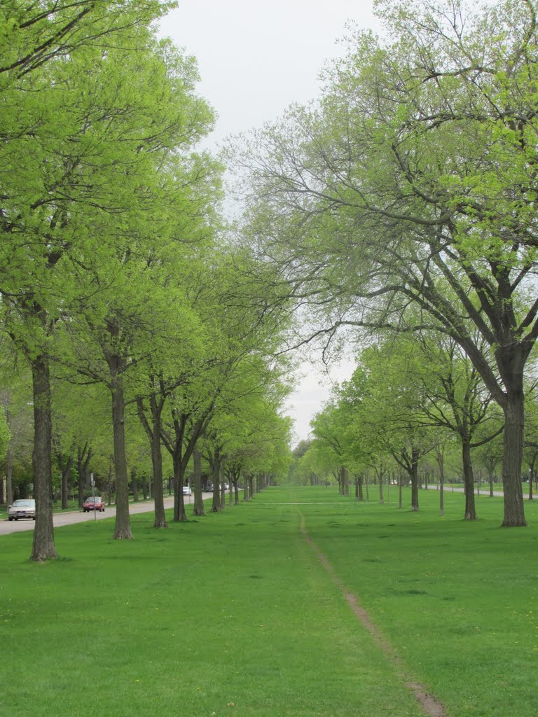 Springtime- Victory Memorial Parkway, Роббинсдейл