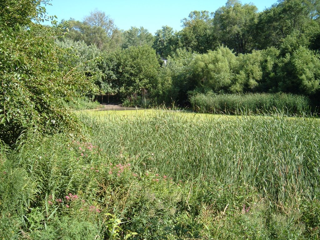 Aug 2005 - St. Louis Park, Minnesota. Otten Pond., Сент-Луис-Парк