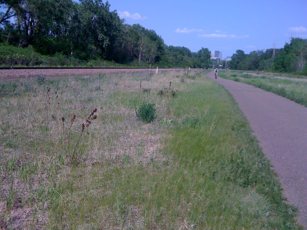 Cedar Lake meadow in May, Сент-Луис-Парк