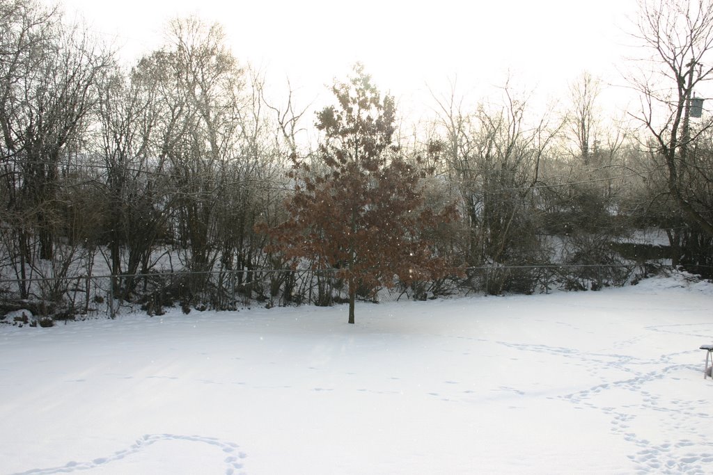 Winter in Minnesota, Сент-Луис-Парк