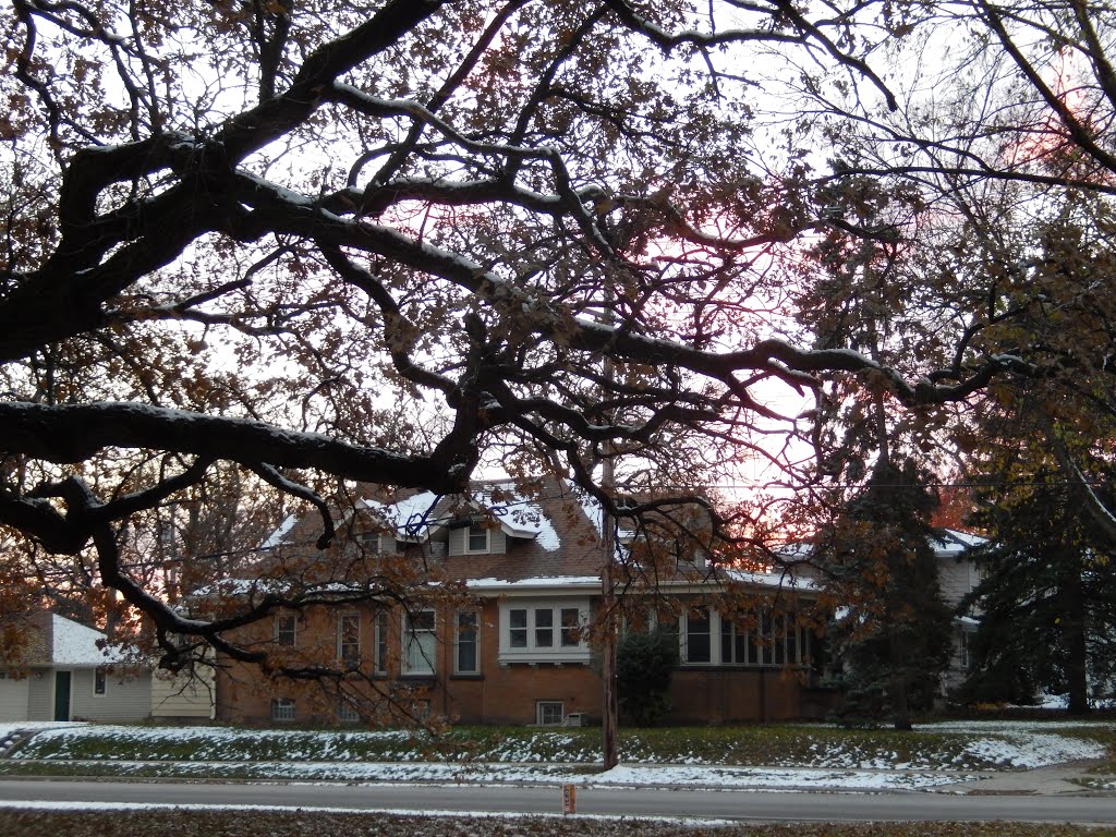 Oak Tree, Сент-Луис-Парк