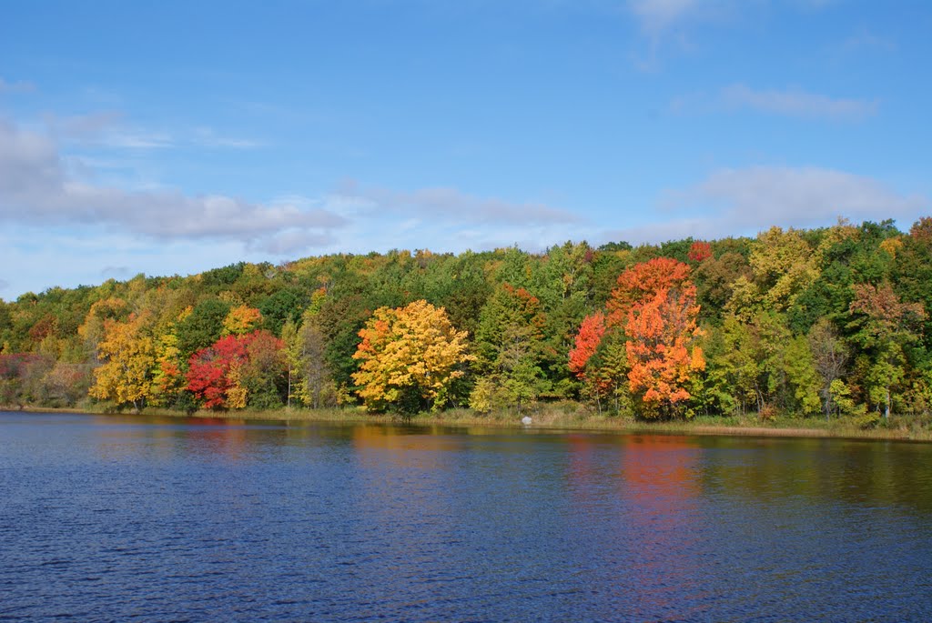 Colors on the Lake, Сканлон