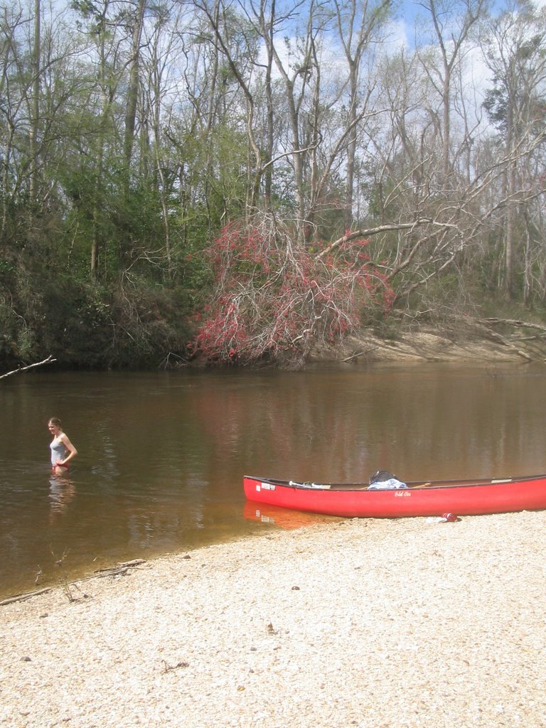 Canoeing the Black River, Аккерман