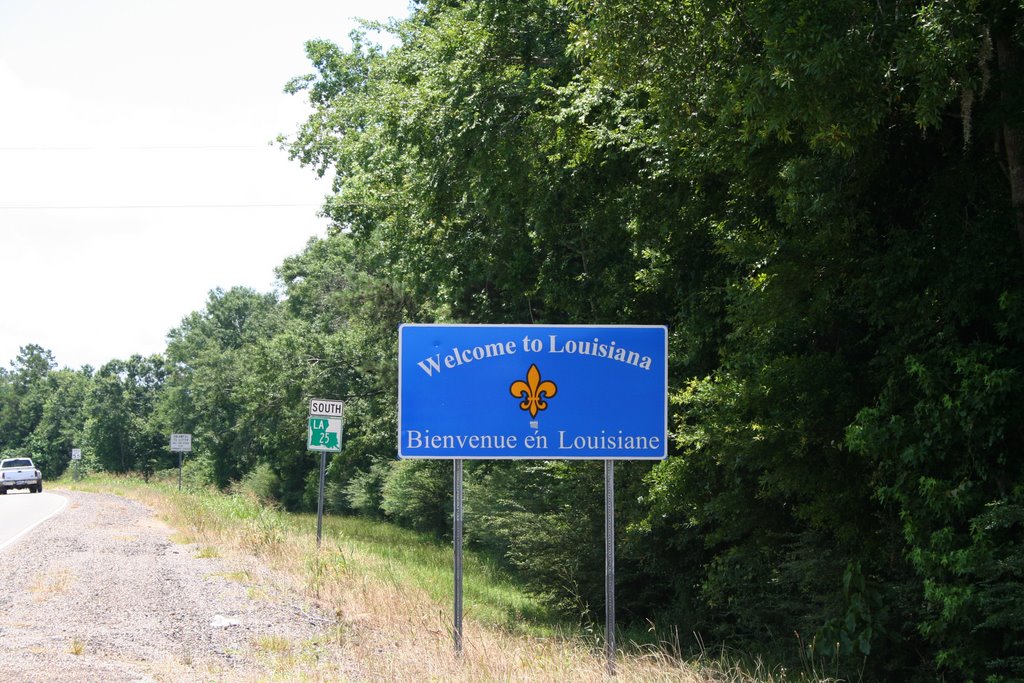 Louisiana Sign, Бассфилд