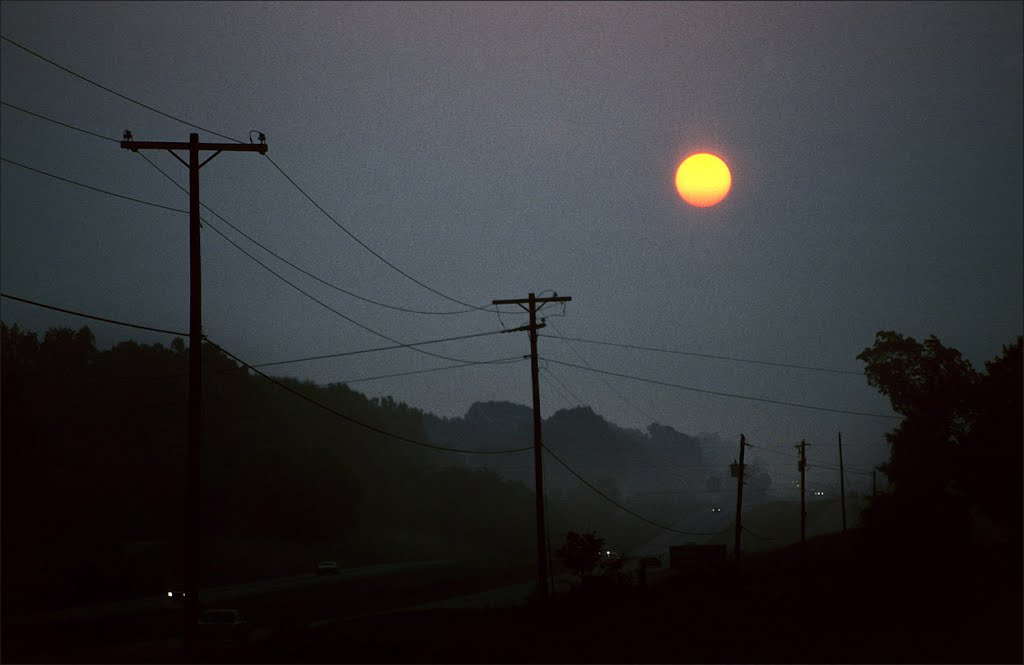 Hot muggy sunrise - 199507LJW, Бассфилд