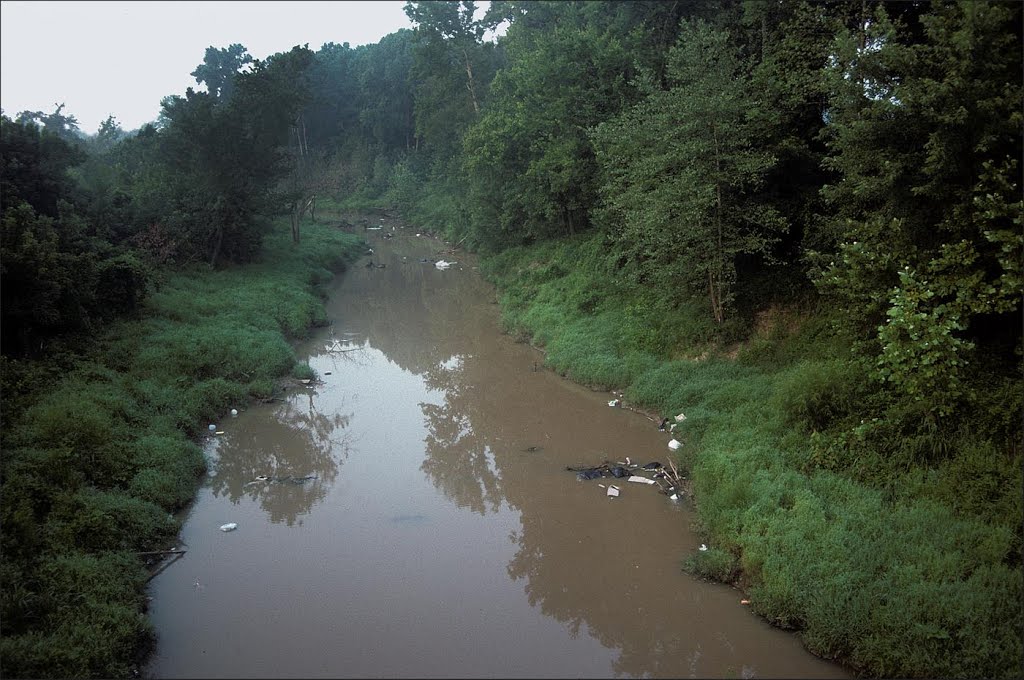 Muddy river - 199507LJW, Бассфилд