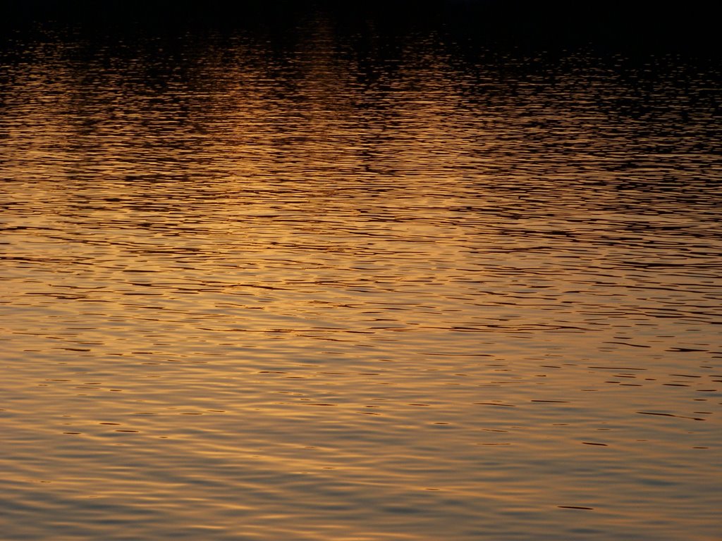 sunset in wiggins, Mississippi on lake at flint creek, Бассфилд