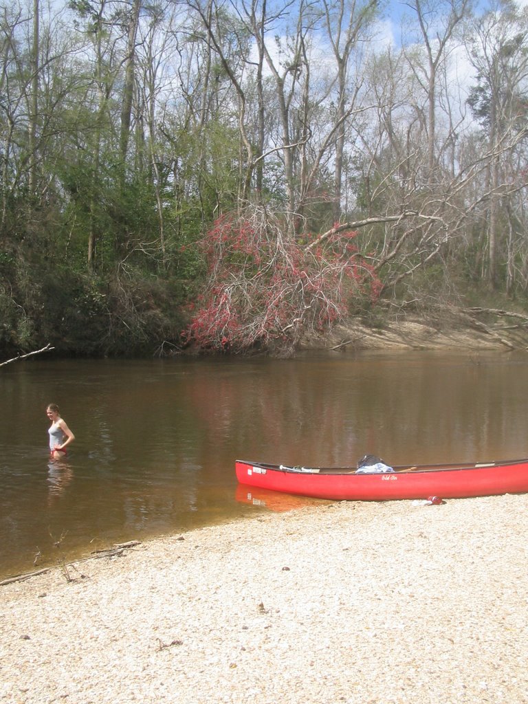 Canoeing the Black River, Батесвилл