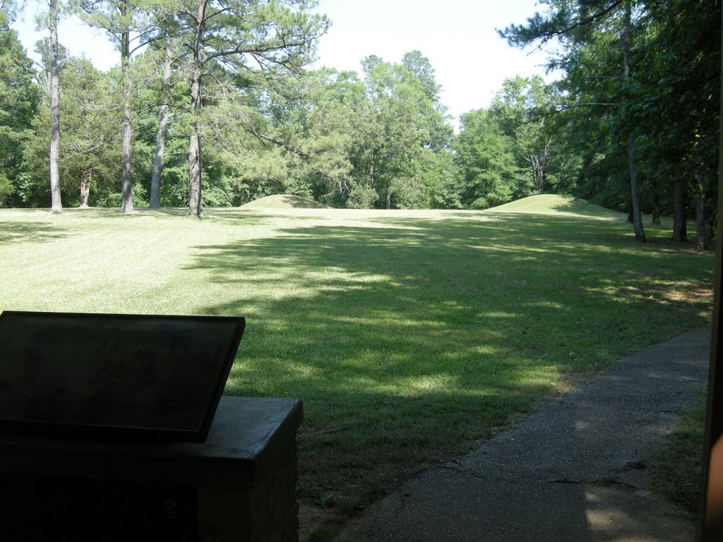 Indian Mounds near the Natchez Trace Pkwy - June 2011, Буневилл