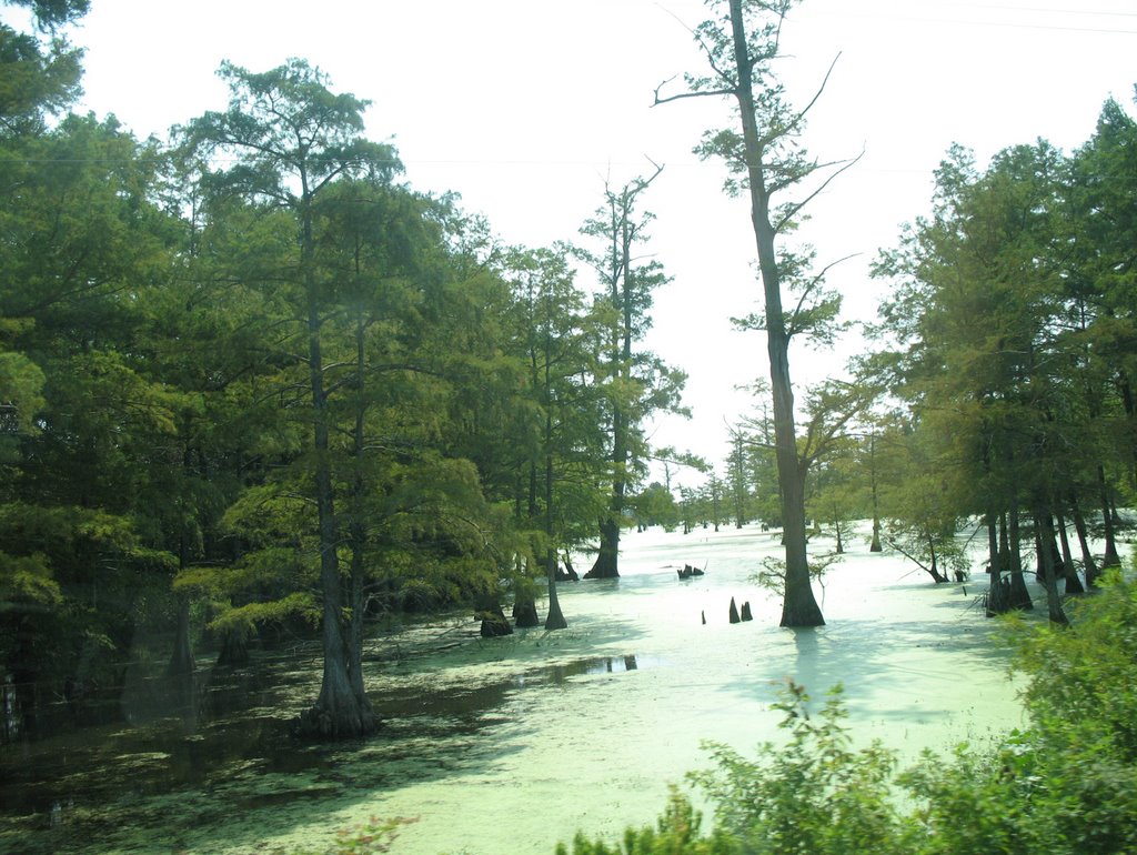 Swampy bayou, Ватер Валли