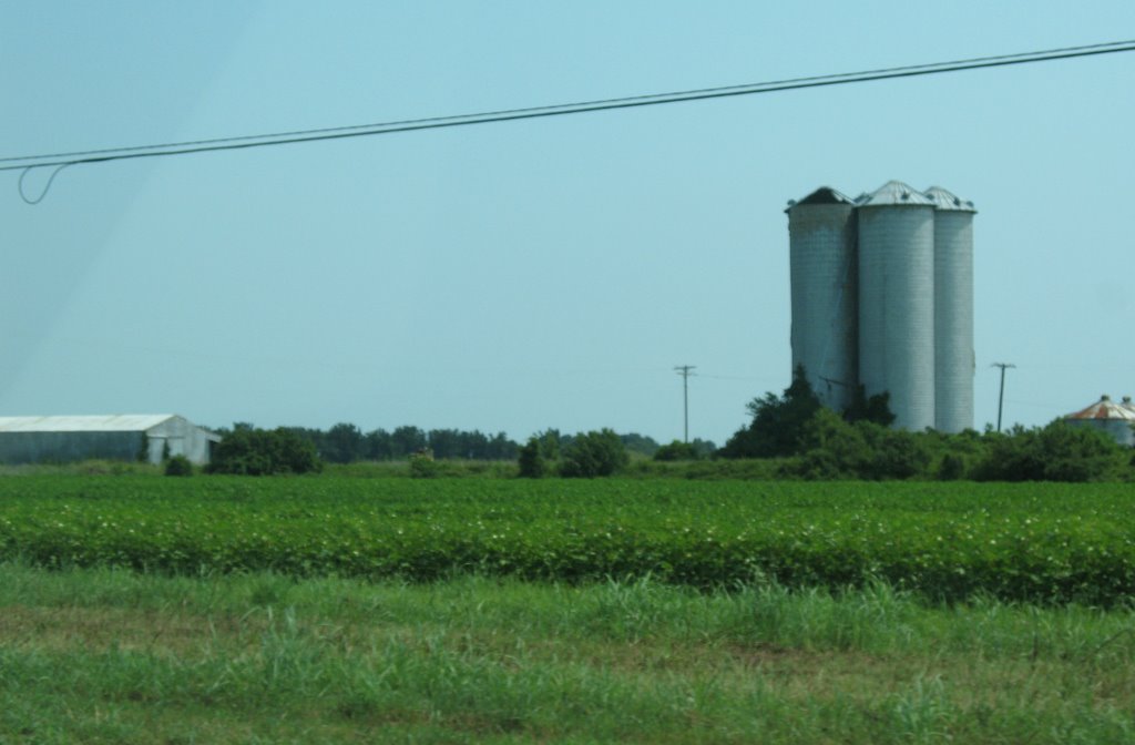 Silos and a field off U.S. 65, Ватер Валли