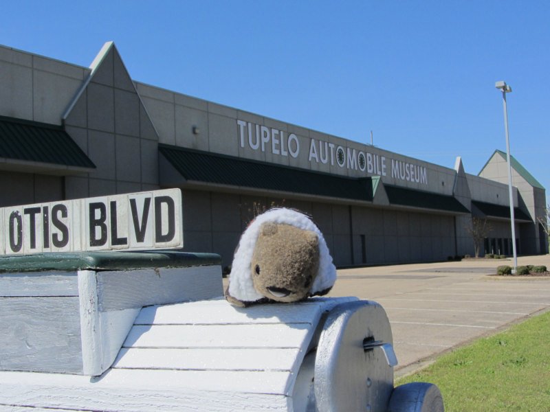 Willy Wombat visits the automobile museum in Tupelo, MS., Верона