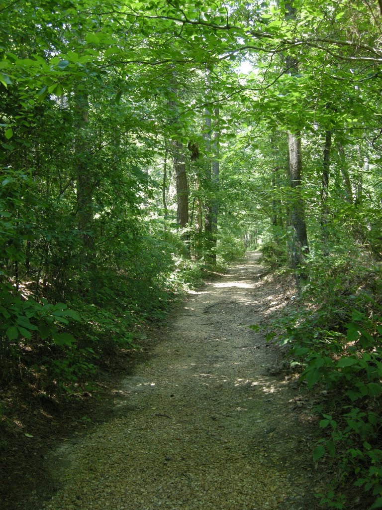 The Old Natchez Trace - June 2011, Виксбург