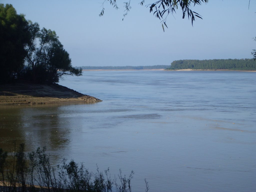 Confluence Of The St. Francis & Mississippi Rivers, Глендора