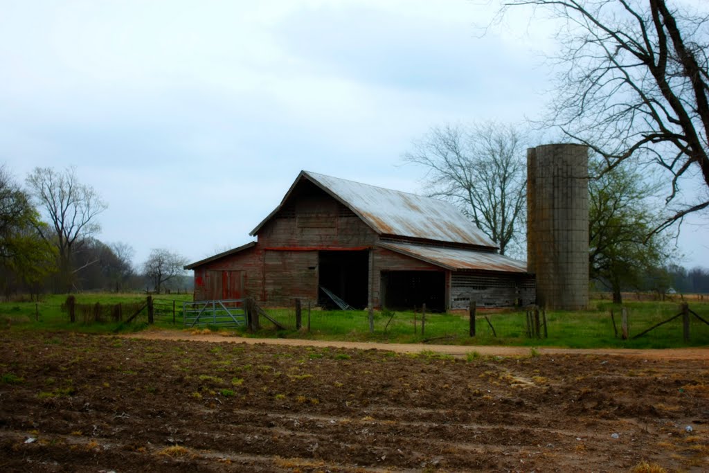 Life Left - Delta Barn & Silo, Глендора