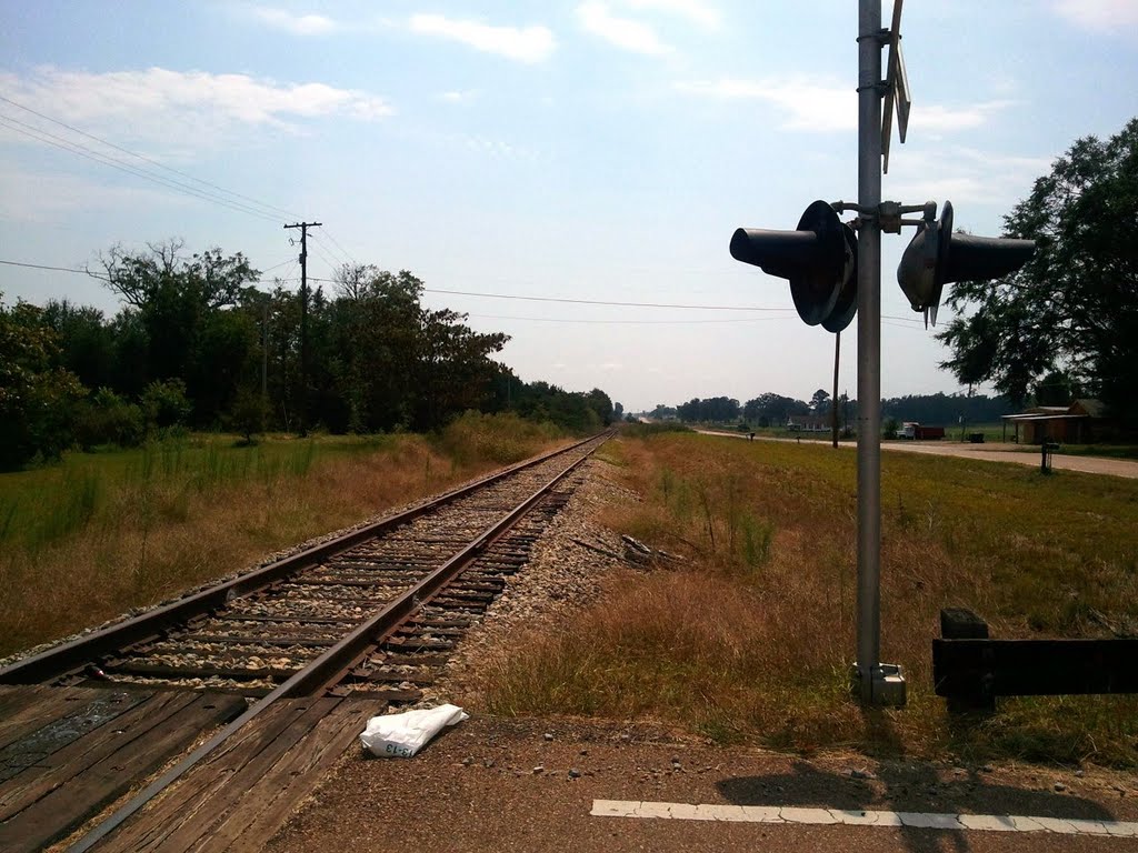 Grenada Railway tracks in central Mississippi near Duck Hill, Глендора