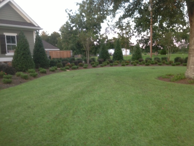 Landscaping Companies Gulfport MS, Гулфпорт
