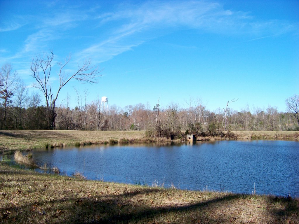 Pond, Еллисвилл