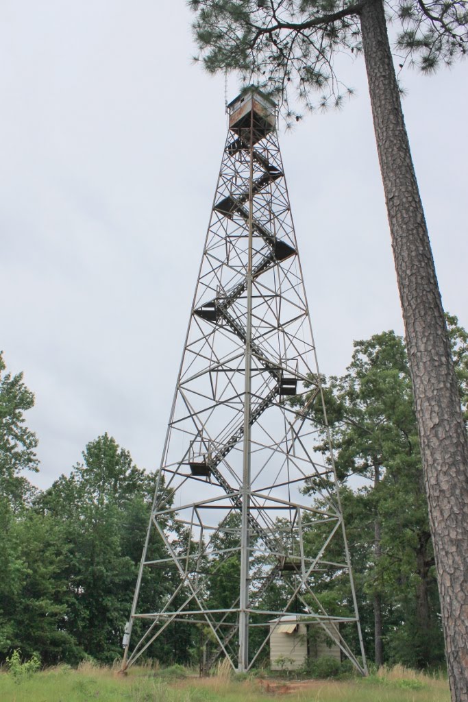 Windam Springs Fire Tower, Каледониа