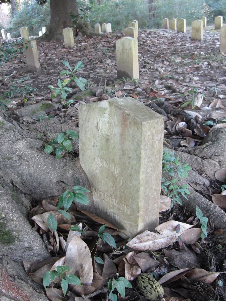 Tombstone becoming part of tree, Колумбус