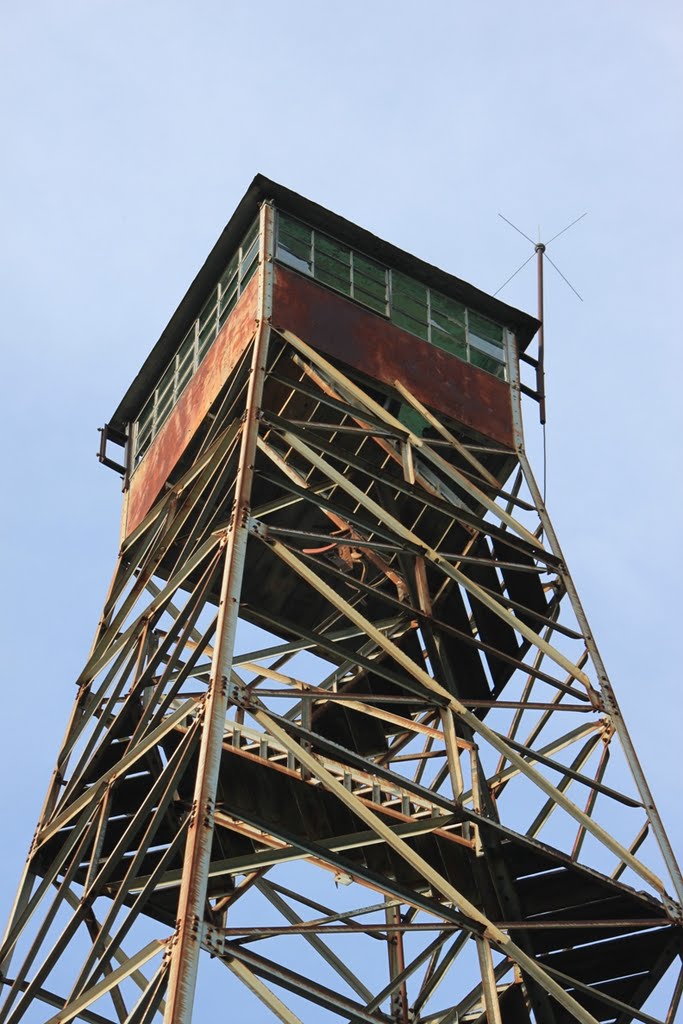 Crooked Oak Fire Tower 2, Коссут
