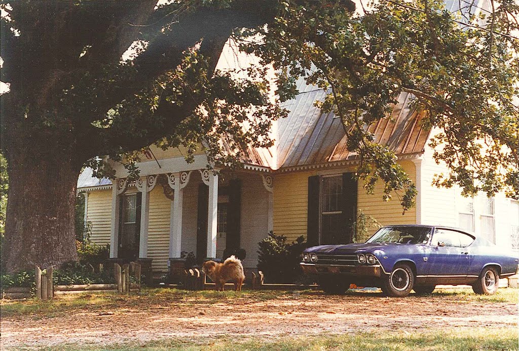 4 cool & unique things in this photo tree, house, dog, car) Rienzi Mississippi (8-14-1996) scanned 35mm, Коссут