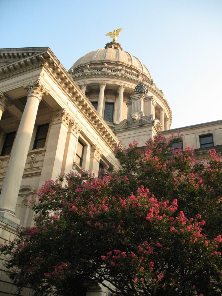 Mississippi Capitol from below, Коуртланд