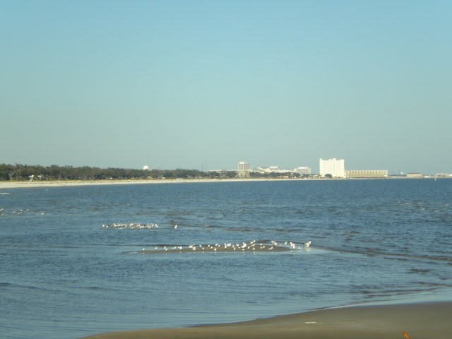 View from Long Beach Harbor to Gulfport, Лонг Бич