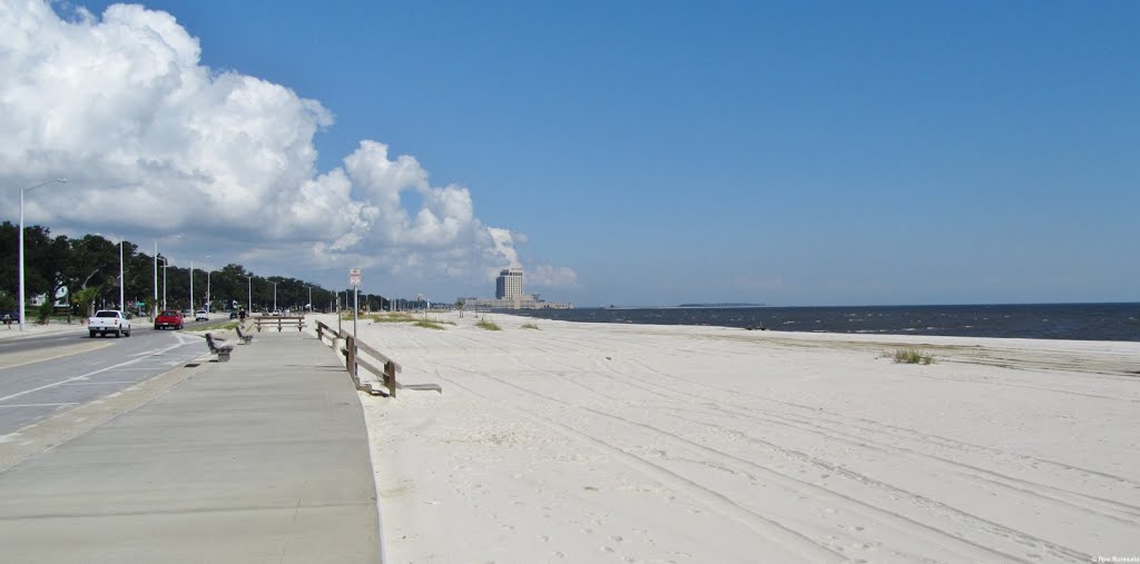 On the shore of Gulf of Mexico in Alabama, Лонг Бич