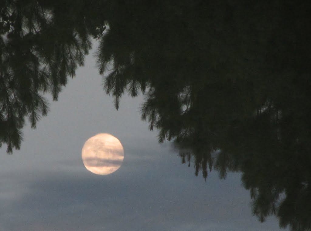 Full moon rising from water, Миз