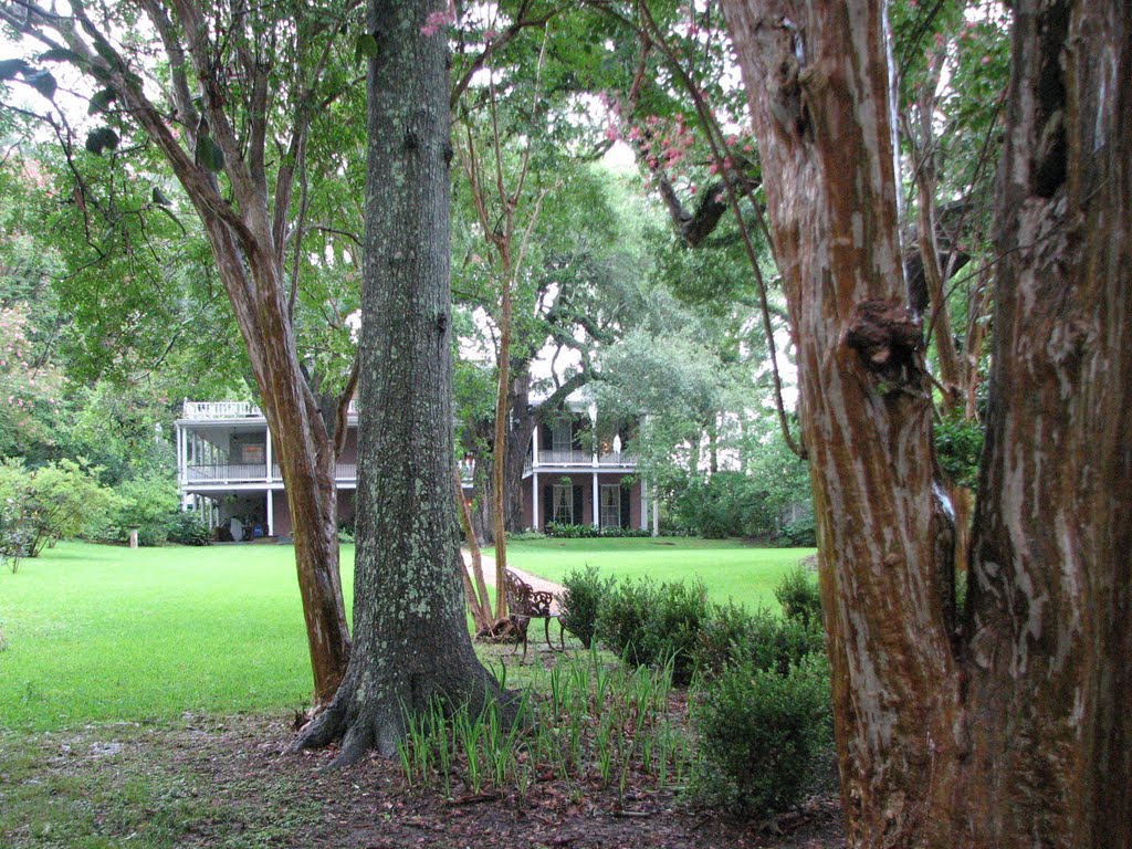 The Elms Bed & Breakfast - With Ghosts Floating in the trees - Natchez, Mississippi, Натчес