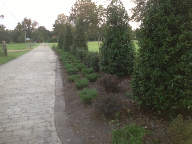 Landscapers Gulfport MS, Норт Гулфпорт