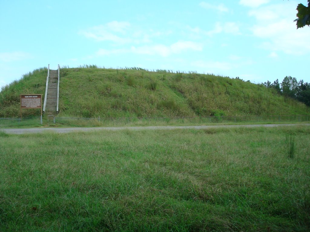 Nanih Waiya Indian Mound, Ньютон