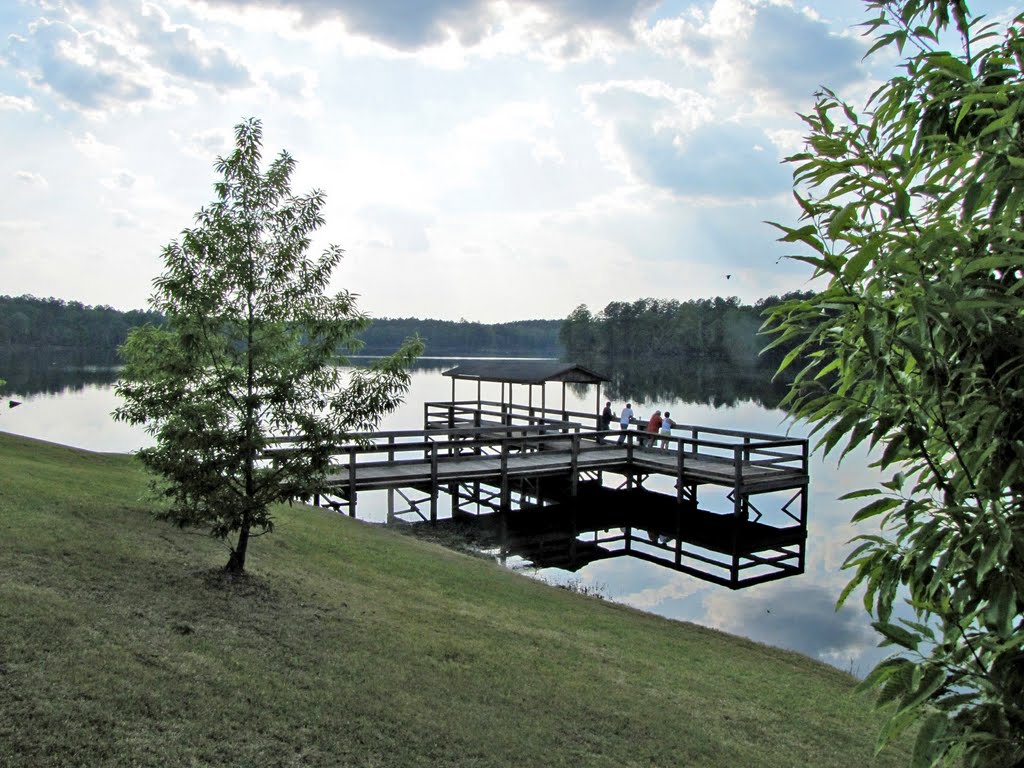 Washington County State Public Lake near Millry, AL, Ньютон