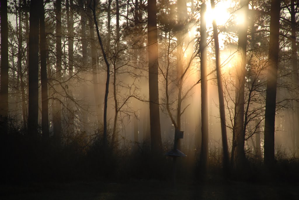 Morning Fog, Палмерс Кроссинг