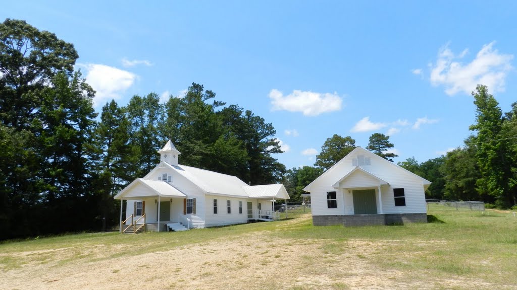 Three Forks Baptist Church ~ Bigbee ~ Washington County ~ Alabama, Сандерсвилл