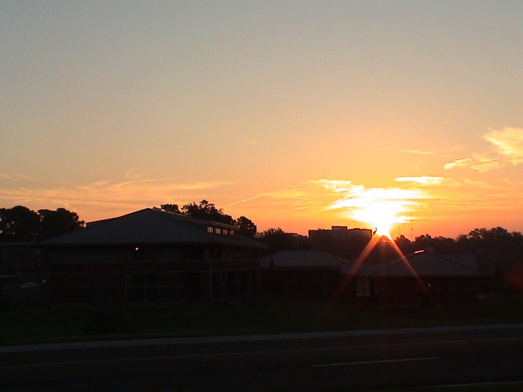 sunrise for the LAs at MSU, Старквилл