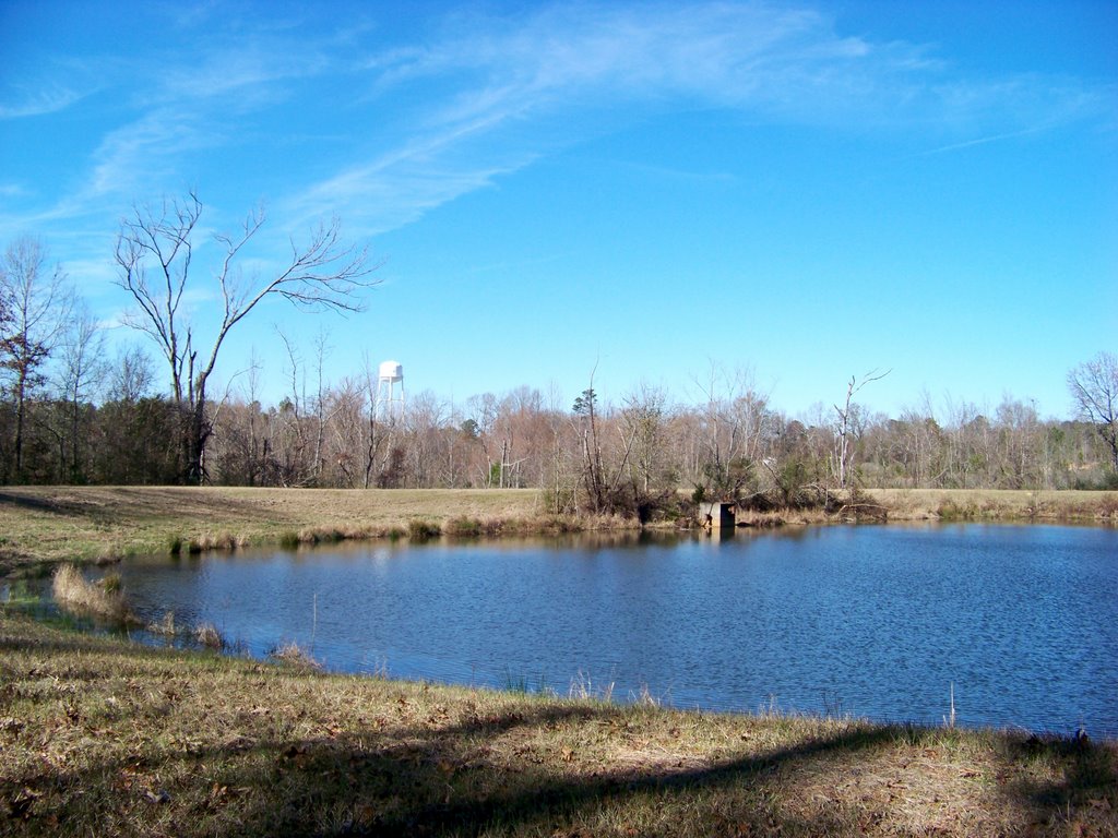 Pond, Сумнер