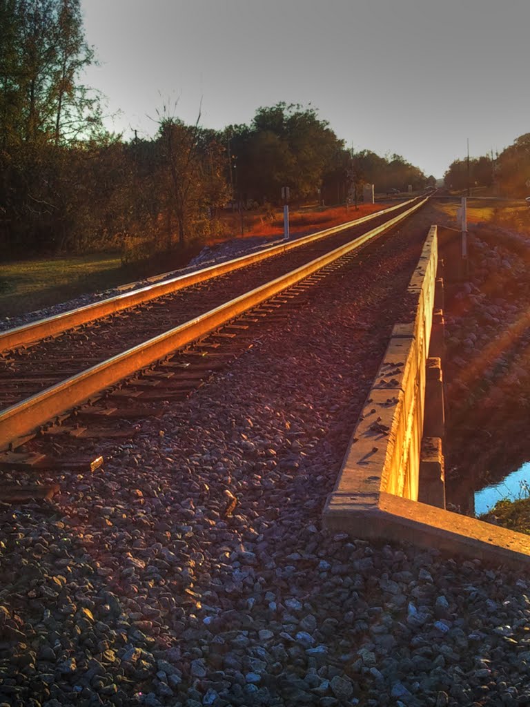 Single track to New Orleans, Хаттисбург