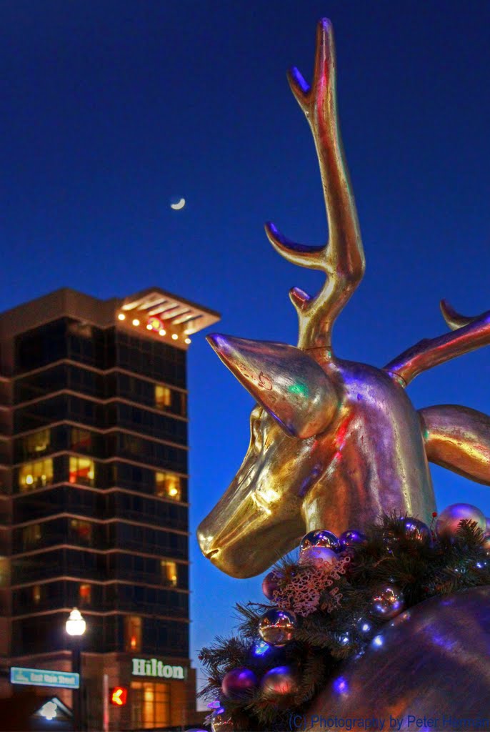 Reindeer Ponders the crescent moon above the Hilton in Branson, MO, Брансон