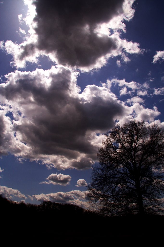 Heavy backlit clouds, Веллстон