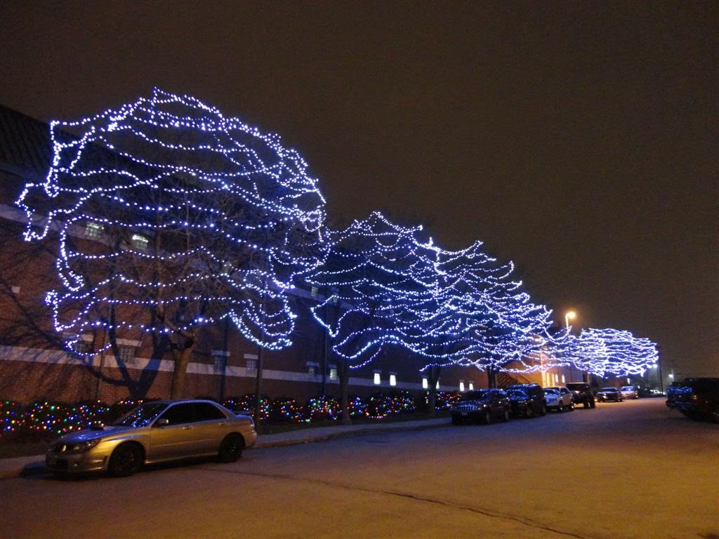 Christmas lights in trees, Bolivar street, Jefferson City, MO, Джефферсон-Сити
