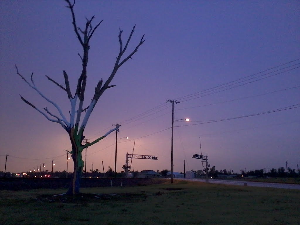 Survivor tree following the EF-5 Tornado that went through Joplin, MO, Джоплин