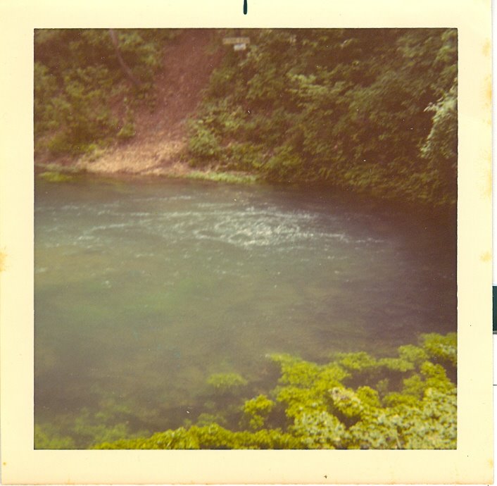 Spring water at Ft.Leonard Wood,Mo.  1970, Естер