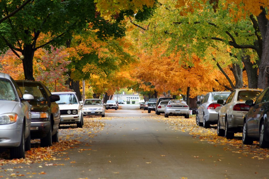 North Kansas City Fall Leaves, Канзас-Сити