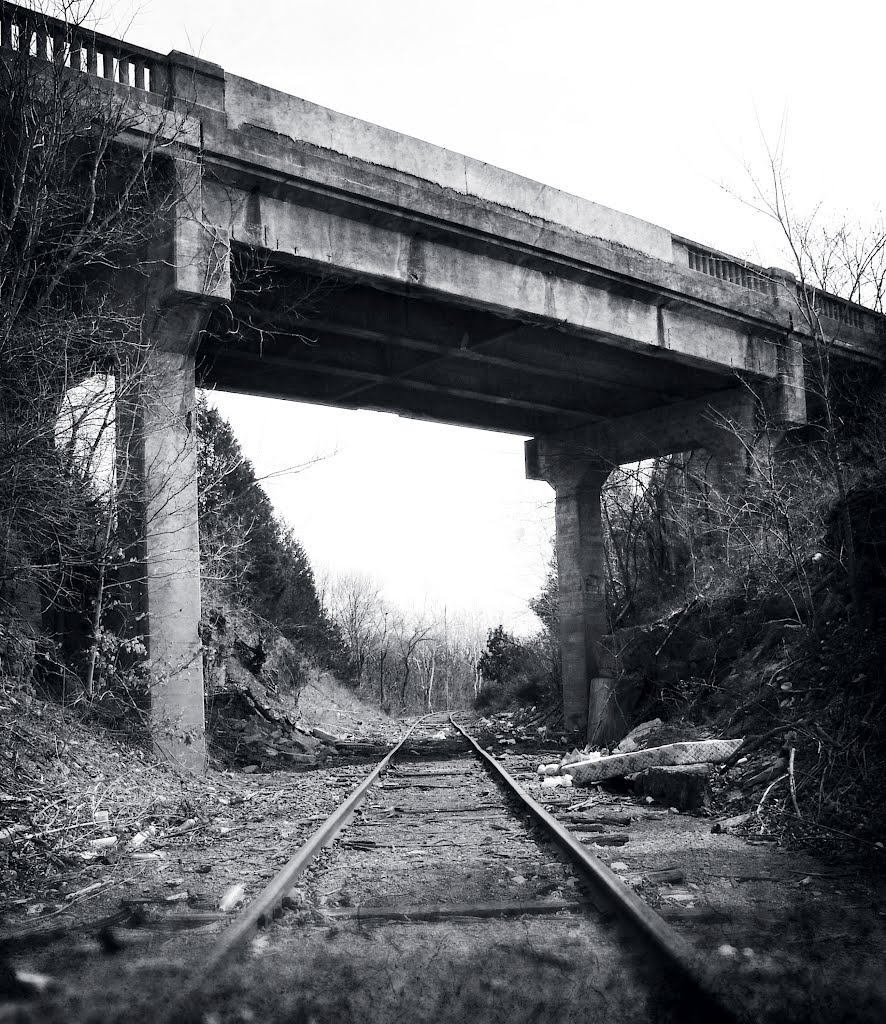 The Littered Rails, Лидвуд
