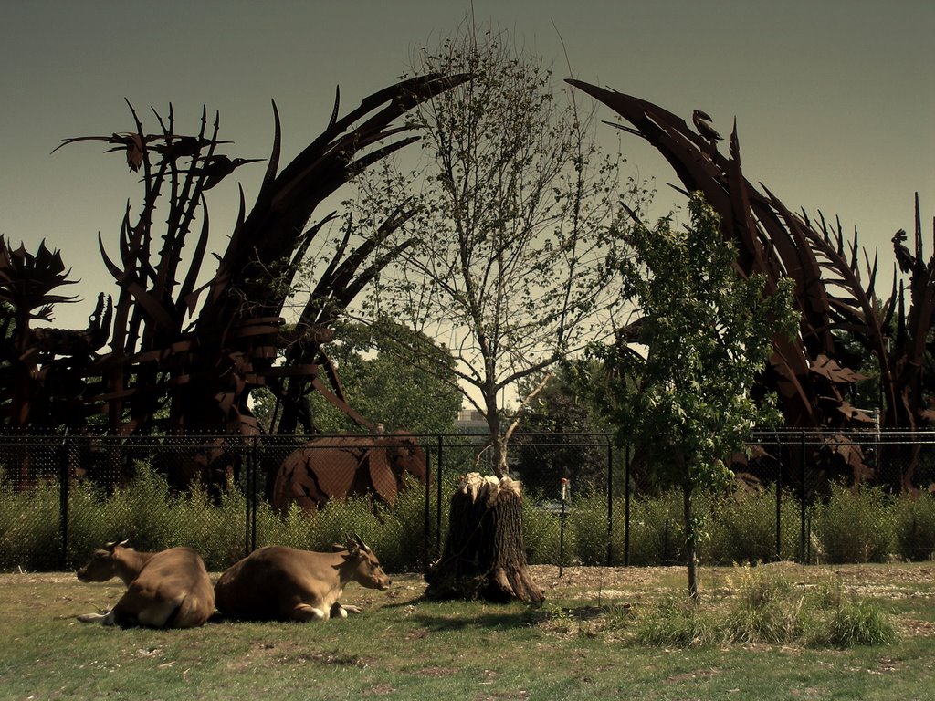 Saint Louis, Zoo, Iron Sculpture, Нортвудс