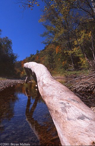 Missouri, Rock Bridge State Park, Олбани-Джанкшн