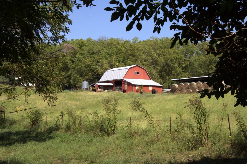 Barn with cows and hay, Риверминес