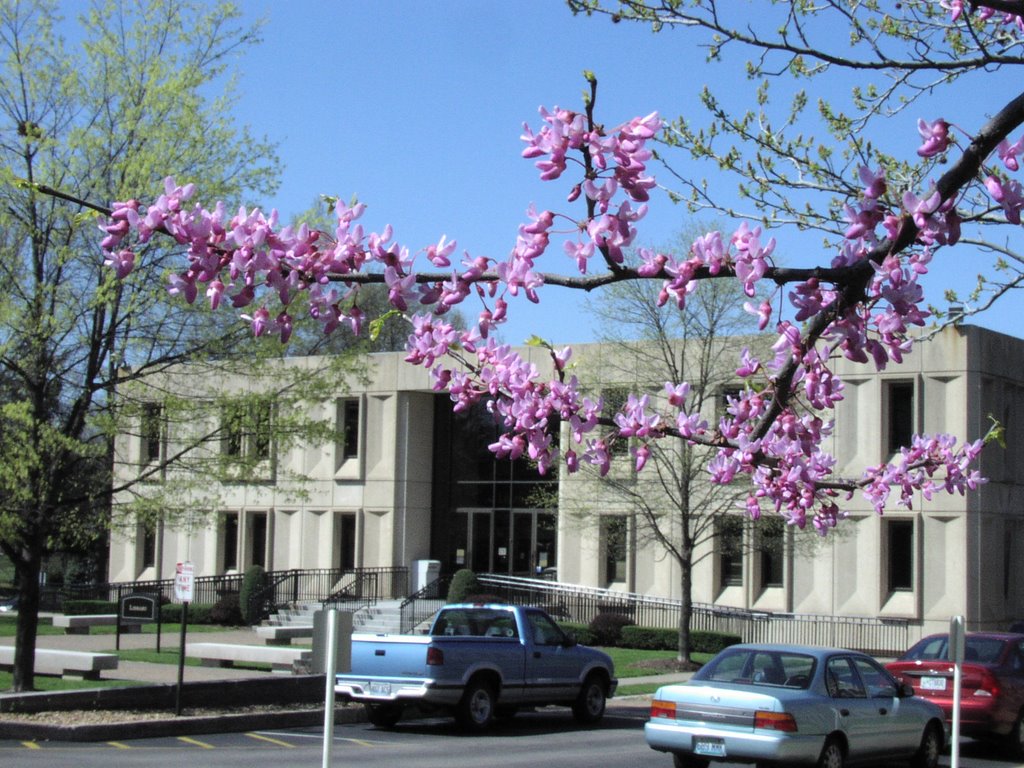 Fontbonne University Library, Ричмонд Хейгтс